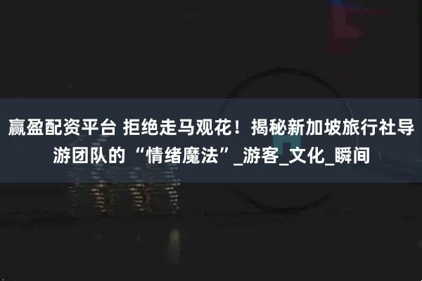 赢盈配资平台 拒绝走马观花！揭秘新加坡旅行社导游团队的 “情绪魔法”_游客_文化_瞬间