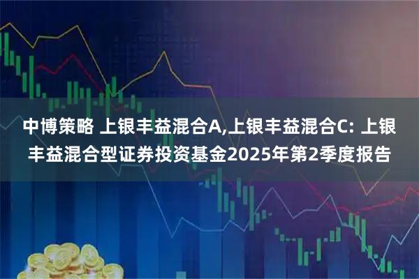 中博策略 上银丰益混合A,上银丰益混合C: 上银丰益混合型证券投资基金2025年第2季度报告