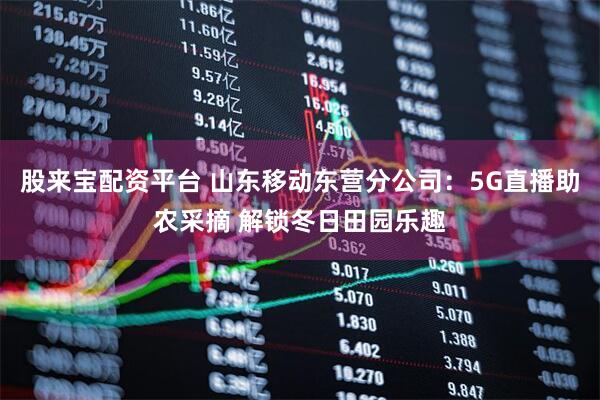 股来宝配资平台 山东移动东营分公司：5G直播助农采摘 解锁冬日田园乐趣