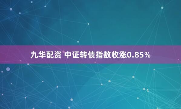 九华配资 中证转债指数收涨0.85%